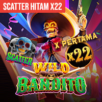 Wild Bandito